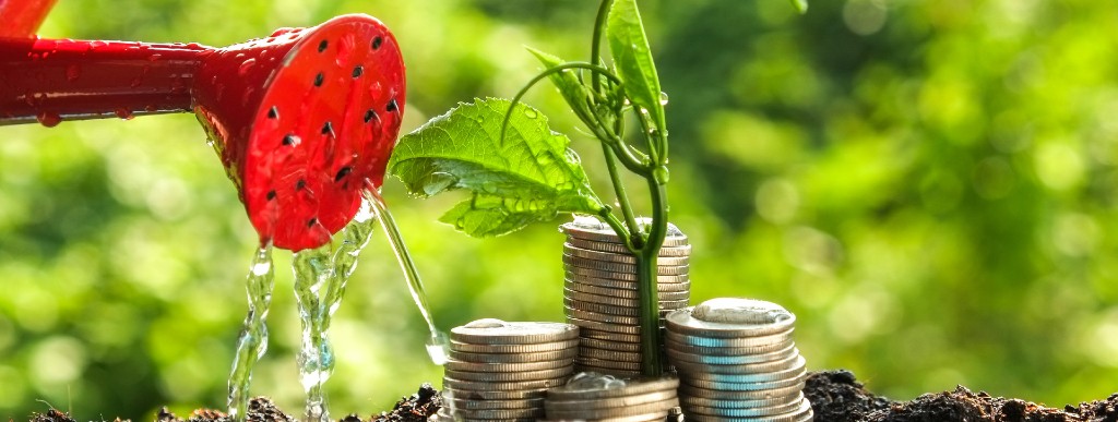 wealth-advisory-arrcpa